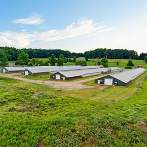 Q235 Q345 Steel Structure Chicken House Farm Poultry Shed Construction