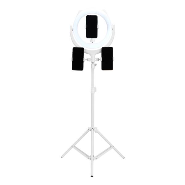 Quality 33 Options 4500K Beauty Ring Light With Adjustable Stand wholesale