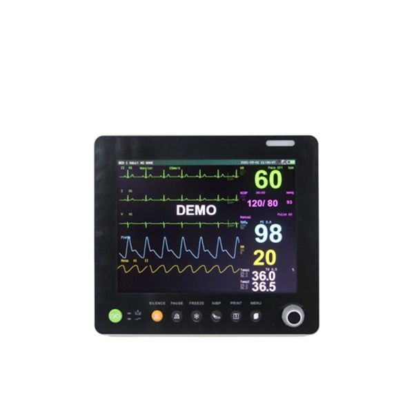 15 Inch Portable Multi Parameter Patient Monitor with Optional 2 IBP 1 Year