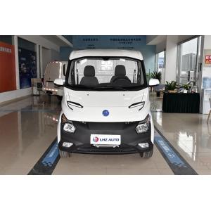 5 Cubic Meters 2 Tons 260km Range No Sunroof The 2024 Small Energy Van with TPMS