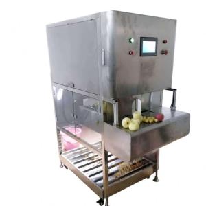 China Dried Mango Type 2 Sliced Fresh 100% Natural Organic Sugar Best Selling Healthy Nutrition Snack Cheap Price Low MOQ Vietnam on sale