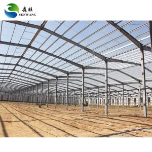 ISO 9001 Certified Steel Structure Warehouse with Custom Wall Cladding