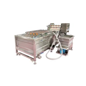 Peppers Mushrooms SUS 304 Vegetable Washing Machine