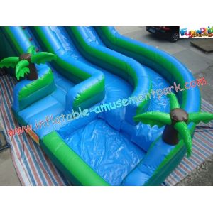 0.55mm PVC Commercial Coco Outdoor Inflatable Water Slides 10L x 5.5W x 6.5H