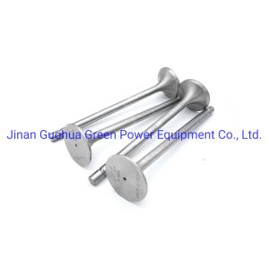 Water Cooling Pz12V190b-2 Jichai Chidong Engine Parts for Land and Efficiency