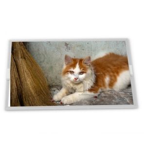 Online One-stop Shopping 8 Inch 800*480  A-Si TFT-LCD AV080WVE-N12