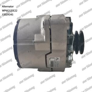 Alternator WP6G125E22 24V 13024345