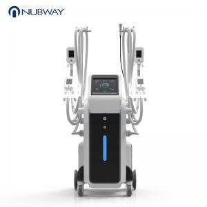 China 2019 hottest Coolsculpting 4 Handles cryolipolysis fat freezing device vacuum fat cellulite machines for body slimming on sale