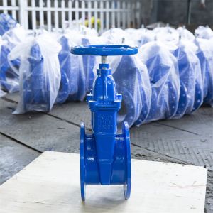 Cheap Flange Ends PN16 PN10 Hand Wheel Gate Valve F4 Copper Wire Inner Dn250 Gate Valve for sale