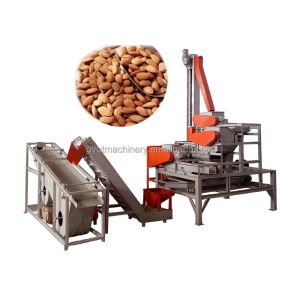 230 KG Automatic Pecan Kernel Peeling Machine Hard Shell Cracker for Walnut