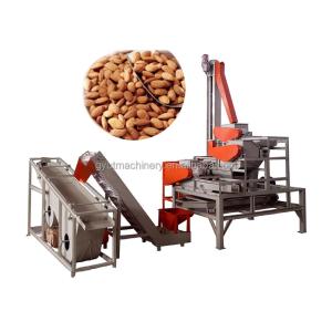 Cheap 230 KG Automatic Pecan Kernel Peeling Machine Hard Shell Cracker for Walnut Shelling for sale
