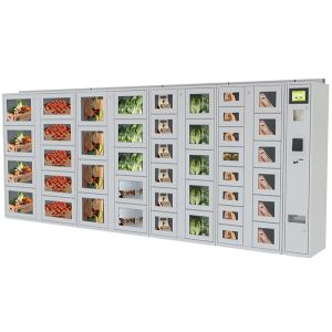 Coin / Banknote Payment Vending Lockers With Secured Electronic Locker System