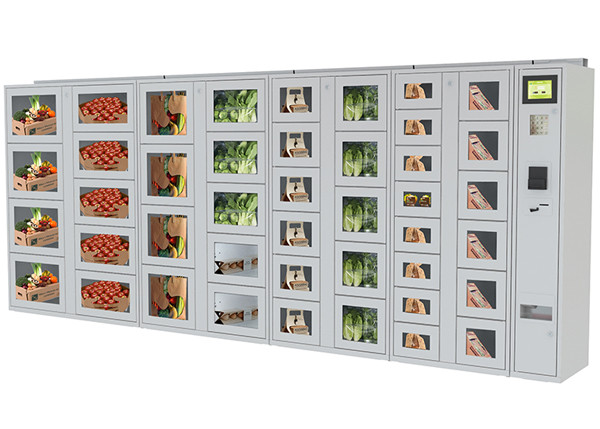 Coin / Banknote Payment Vending Lockers With Secured Electronic Locker System