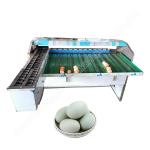 Chicken Egg Grader Egg Grading Machine Egg Grader Farm Use Egg Sorting Machine