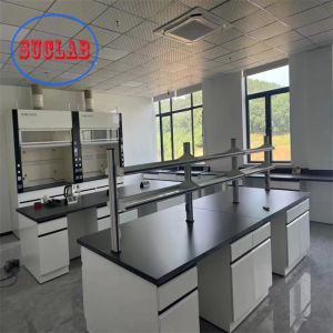 Laboratory Furnitures Chemistry Lab Bench With Epoxy Resin Sink Rectangular