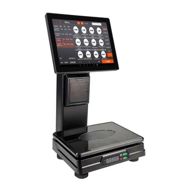 Heavy Industry Platform Digital Electronic Price Weighing POS Scale with Printer