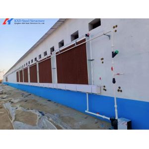 Poultry Farm Chicken Feeding Line Automatic Poultry Pan Feeding System