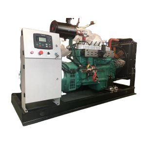 Electrical Start 60kw Water Cooled Natural Gas Generator Set 75kva by CNG PLG