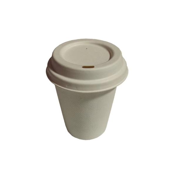 Quality Biodegradable 4oz Sugarcane Bagasse Cups Disposable Coffee Cups wholesale