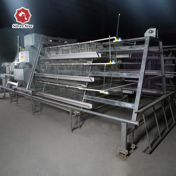 Quality Automatic Drinking Baby Chick Poultry Battery Cage Galvanized wholesale