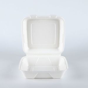 Biodegradable Food Container clamshell Box friendly fully takeout tableware