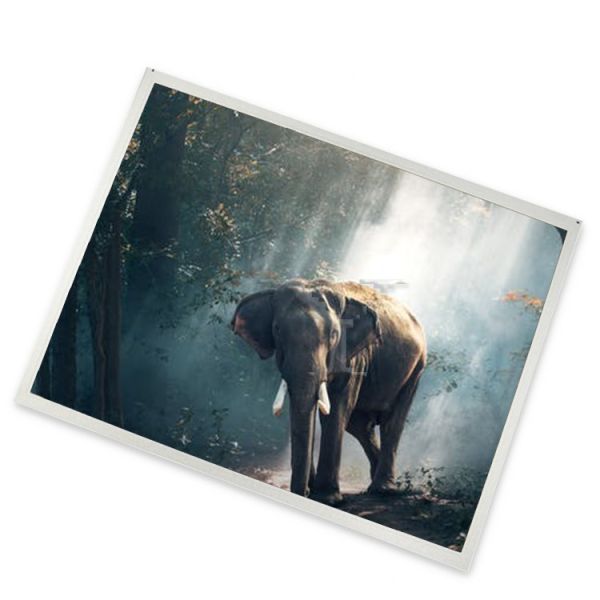 a-Si TFT-LCD 8 inch 1280(RGB)*768 complete range of industrial screens