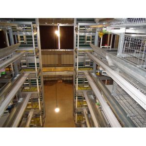 China 72 Chickens Breeding Layer Chicken Cage H Type 3 Tiers Manual Operation on sale