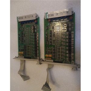 10201/2/1 Fail Safe Digital Output Module 24 Vdc 0.55a 8ch Cc Honeywell Plc