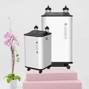 Cheap Physical Therapy 1 - 10L Oxygen Concentrator With Nebulizer And LED Screen for sale