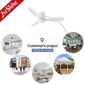 CB Certified 220V LED Ceiling Fan with 3 Color Light and Space Saving Flush