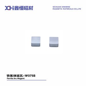 Cheap Hard Permanent Magnet Ferrite In Motorcycle Starting Motors W075B for sale