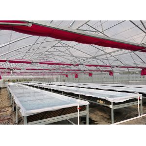 Temperature Controlled DWC Hydroponics System High Density For Intensive