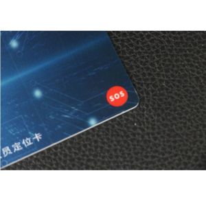 1.39 Inch Dot Matrix Screen OTP Card 0.76mm For Student Cards