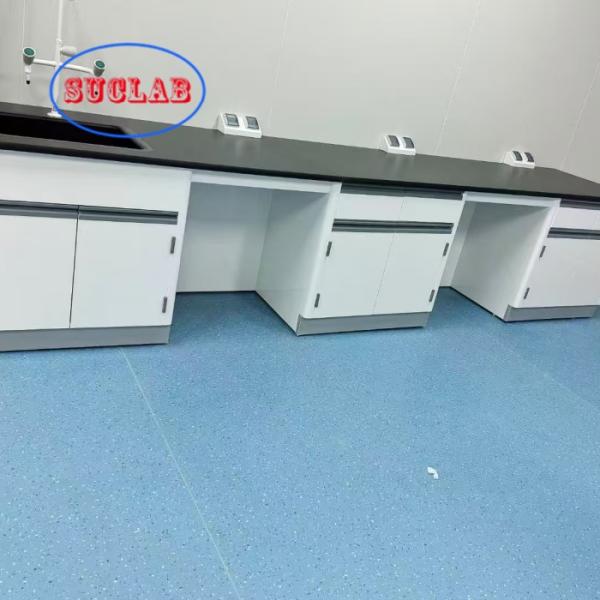 Chemistry Lab Bench Distributors 304 Stainless Steel Base Cabinet and Cold-rolled Steel Reagent Racks with Adjustable Glass Shelf