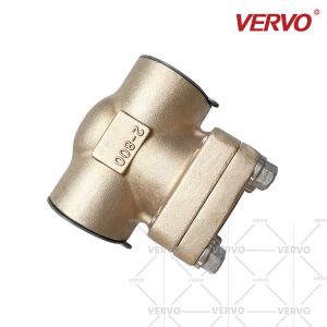 C95800 Aluminium Bronze Swing Check Valve 2" Dn50 Npt Nrv 800# Socket Weld Check