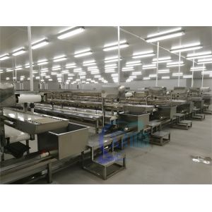 3KW Stable Shrimp Processing Machine 10000x1150x1550mm Practical