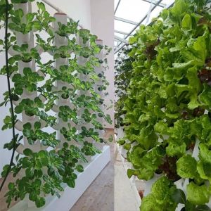 Perfect Vertical Column Hydroponic Aeroponic Planting System Aeroponic Growtower
