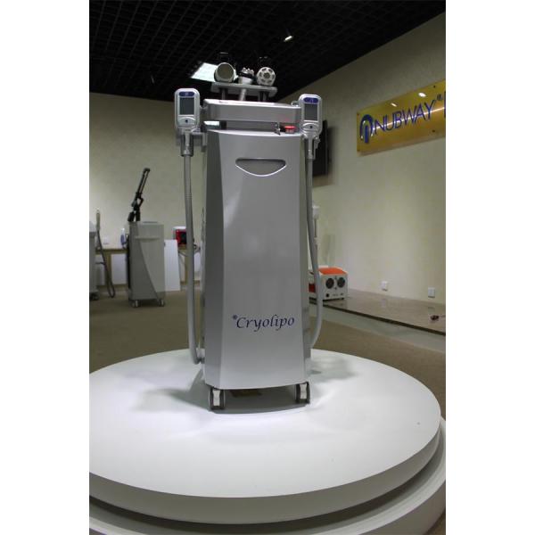 Quality Cryolipolysis slimming machine best price fat freezing cryolipolysis body slimming device wholesale