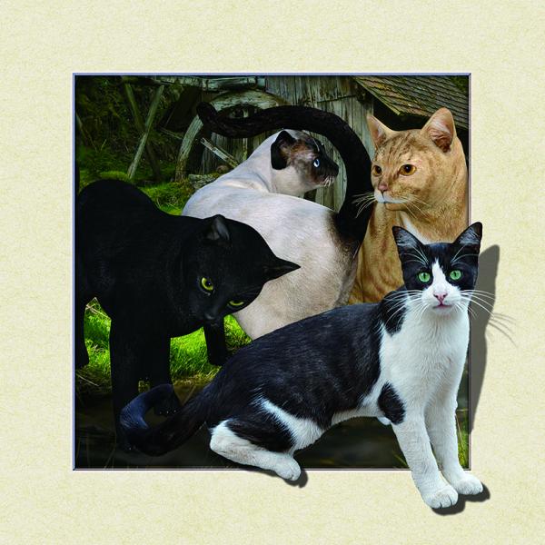 Custom Lenticular Image Printing For Gift , 5d Animal Collage Poster 15.7x15.7 Inches