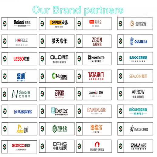 Stainless Steel Clip-On Soft Closing Hinge 105 Degrees Two-Way Cabinet Door Hardware