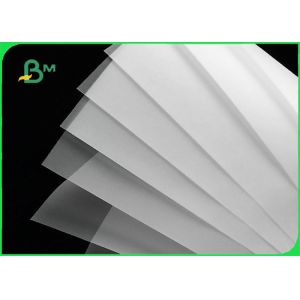 53gsm 63gsm 100gsm Semi Transparent Paper For Drawing Good Ink Absorption
