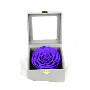 Dark Purple 7-8CM Preserved Rose Gift Box With No Harmful Substances