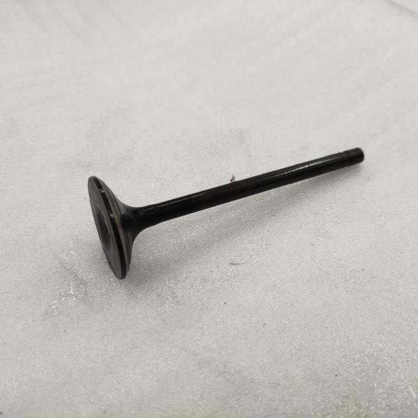 DAYANG Three Wheel Motorcycle Tricycle Black Iron Engine Forging Valve with Materials