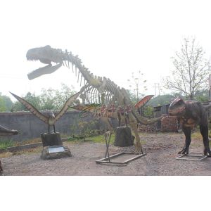 Life Size Fiberglass Complete Dinosaur Fossil For Park Exhibition