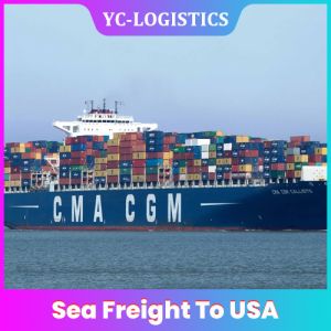 China Everyday Departure DDP FBA Sea Freight To USA from china on sale