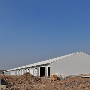 Poultry farm Henhouse turnkey solution