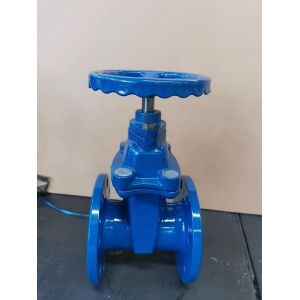 Y Type Flange Gate Valve Soft Seal Sluice Valve for CI/DI/WCB/SS Structure