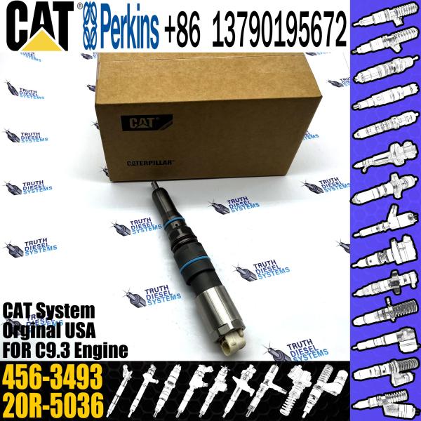 Quality Engine Fuel Injector Common Rail Injector 456-3509 460-8213 456-3493 20R-5036 20R-5077 for Cat C9.3 wholesale