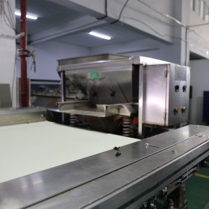 Ultra HD Resolution Camera AI Model Image Recognition coffee bean sorting