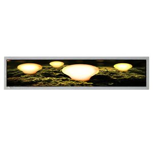 28.6 inch 1920*560 DV286FBB-NV0 LCD Screen FOR Digital Signage